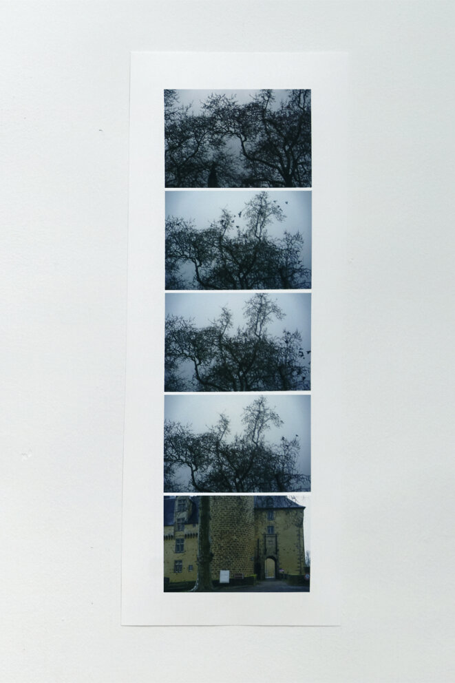 Babette Mangolte, "Eloge du vert" (détail, Rochechouart), photographies, Spaces to SEE. Musée d'art contemporain de la Haute-Vienne, château de Rochechouart, 2019. © Babette Mangolte, Photo : Aurélien Mole Babette Mangolte, "Eloge du vert" (détail, Rochechouart), photographies, Spaces to SEE. Musée d'art contemporain de la Haute-Vienne, château de Rochechouart, 2019. © Babette Mangolte, Photo : Aurélien Mole