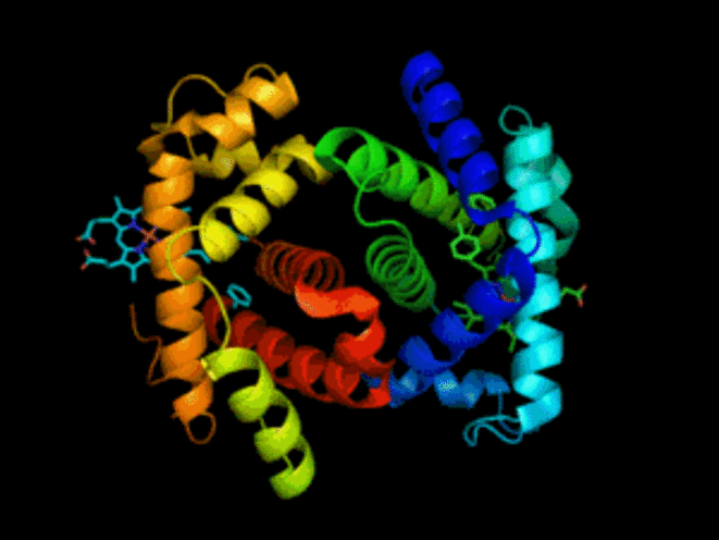 human-alfa2beta2-hemoglobin