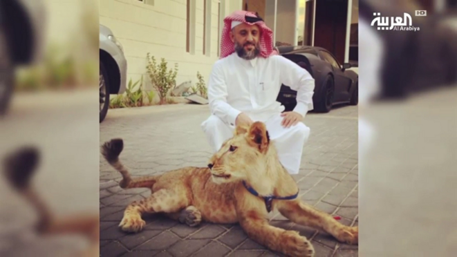 Khalifa Al Subaiy, dans sa luxueuse demeure à Doha, Qatar. Khalifa Al Subaiy, dans sa luxueuse demeure à Doha, Qatar.
