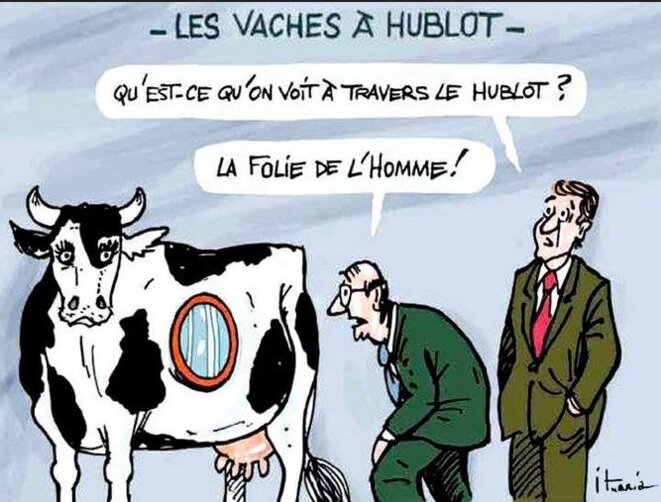 la-vache-a-hublot-et-la-folie-de-lhomme
