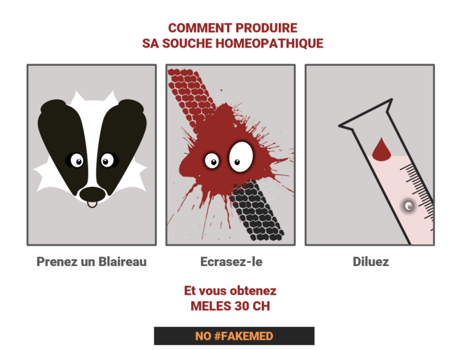 blaireau-6