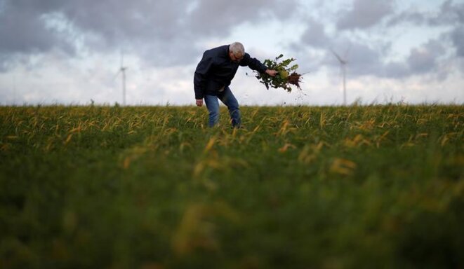 Un agriculteur désherbe son champ de luzerne, à Greneville-en-Beauce (Loiret), en novembre 2017. © Reuters Un agriculteur désherbe son champ de luzerne, à Greneville-en-Beauce (Loiret), en novembre 2017. © Reuters