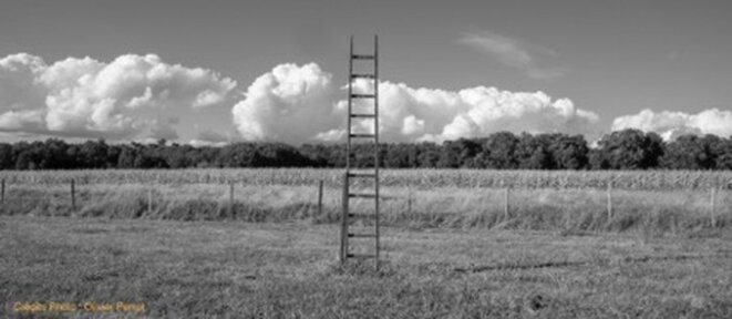 © Olivier Perrot 2019 © Olivier Perrot 2019