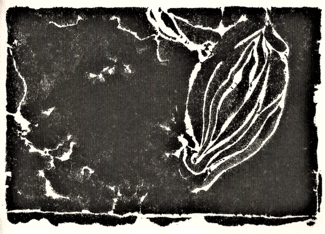 Dessin de Jean-Louis Fleury Dessin de Jean-Louis Fleury