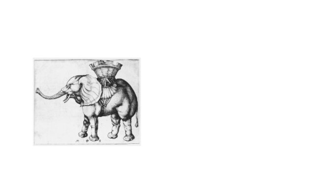 le-flanc-de-lelephant-est-un-mur-sa-defense-une-lance-et-sa-trompe-un-serpent-2