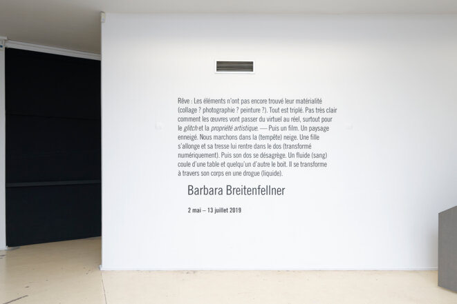 Barbara Breitenfellner, Vue de l'exposition personnelle de Barbara Breitenfellner, "Rêve : Les éléments n’ont pas encore trouvé leur matérialité...", Centre photographique d'Ile-de-France, Pontault-Combault, 2019. © Aurélien Mole Barbara Breitenfellner, Vue de l'exposition personnelle de Barbara Breitenfellner, "Rêve : Les éléments n’ont pas encore trouvé leur matérialité...", Centre photographique d'Ile-de-France, Pontault-Combault, 2019. © Aurélien Mole
