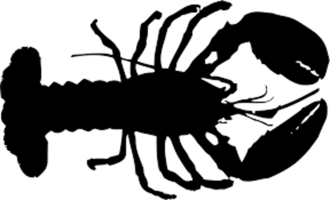 Homard Homard