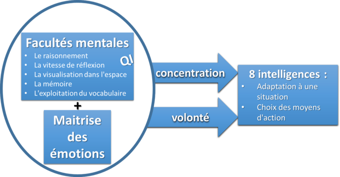 L'intelligence expliquée en diagramme © Cyril Iaconelli L'intelligence expliquée en diagramme © Cyril Iaconelli