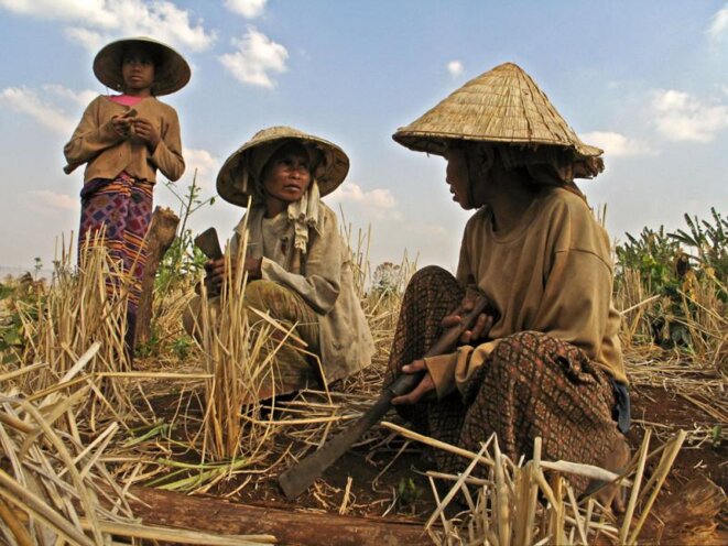 Des riziculteurs au Laos, dans la province du Salavan. Un projet de loi pourrait bientôt permettre aux investisseurs étrangers d'acheter des terres au Laos. Des groupes de citoyens signalent que la loi discriminera les paysans, y compris les minorités ethniques et menacera la souveraineté nationale. © Phil Douglis/Vientiane Times Des riziculteurs au Laos, dans la province du Salavan. Un projet de loi pourrait bientôt permettre aux investisseurs étrangers d'acheter des terres au Laos. Des groupes de citoyens signalent que la loi discriminera les paysans, y compris les minorités ethniques et menacera la souveraineté nationale. © Phil Douglis/Vientiane Times