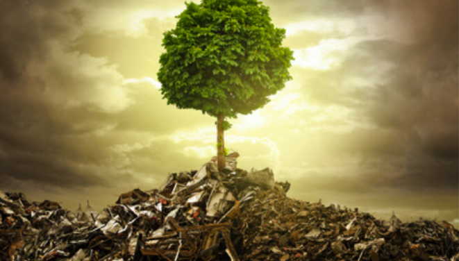 La nature se meurt, l'homme rit © Josy Borselli La nature se meurt, l'homme rit © Josy Borselli