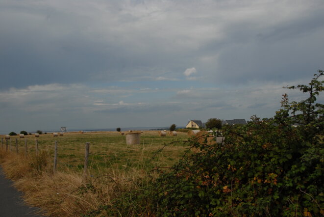 donville-1