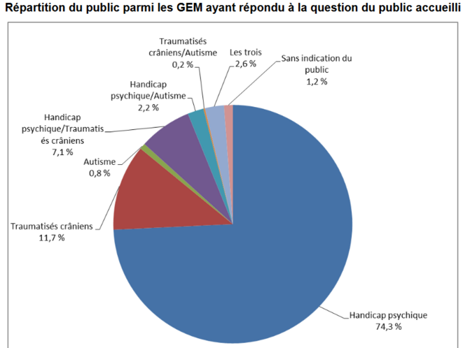 Répartition des GEM par handicap © CNSA bilan GEM 2018 Répartition des GEM par handicap © CNSA bilan GEM 2018