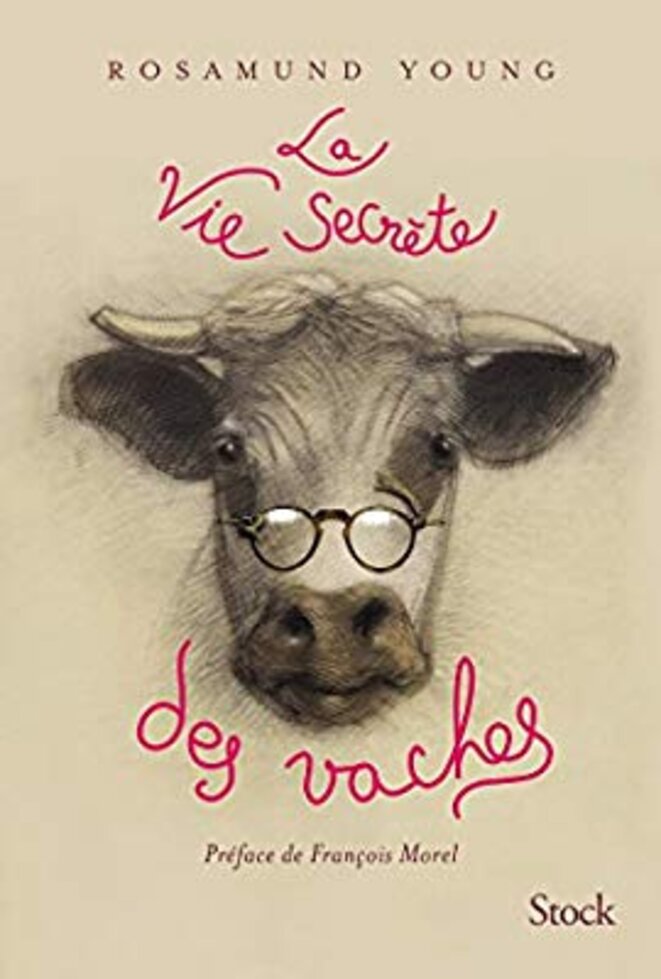 la_vie_secrète_des_vaches © Daniel Jan la_vie_secrète_des_vaches © Daniel Jan