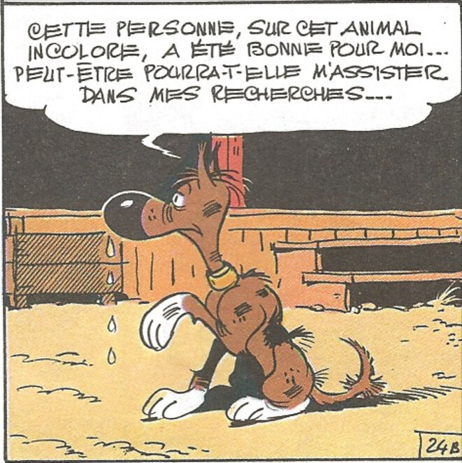 rantanplan