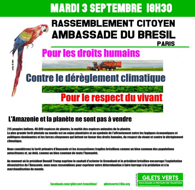 AMAZONIE : Rassemblement Ambassade du Brésil - 3 septembre