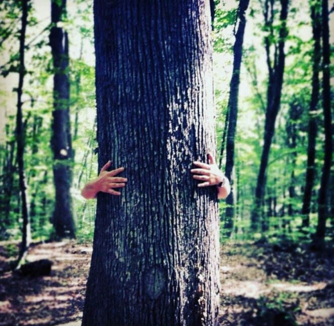 img-20190810-051132-866