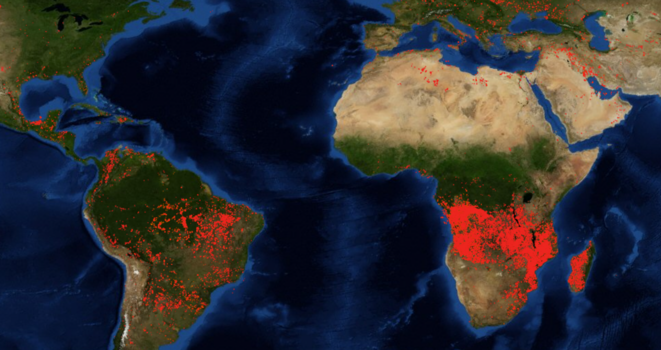 Image satellite de la Nasa montrant les feux de forêt en cours le 28 août 2019.