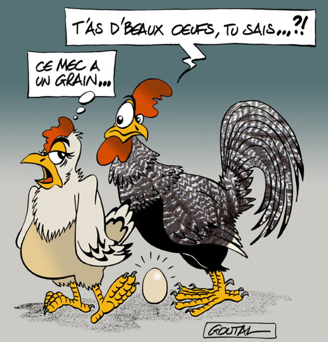 1-beaux-oeufs-ds