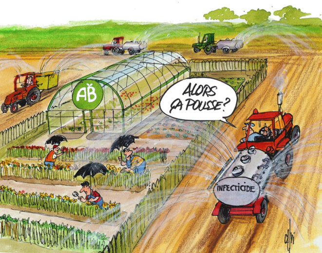 Pesticides © Calvi Pesticides © Calvi