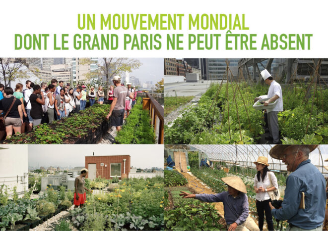 Partout dans le monde, l'agriculture urbaine s'impose comme une évidence © Baptiste François Partout dans le monde, l'agriculture urbaine s'impose comme une évidence © Baptiste François