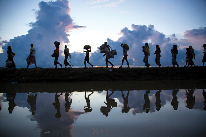 migrations