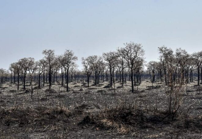 incendies-bolivie-3