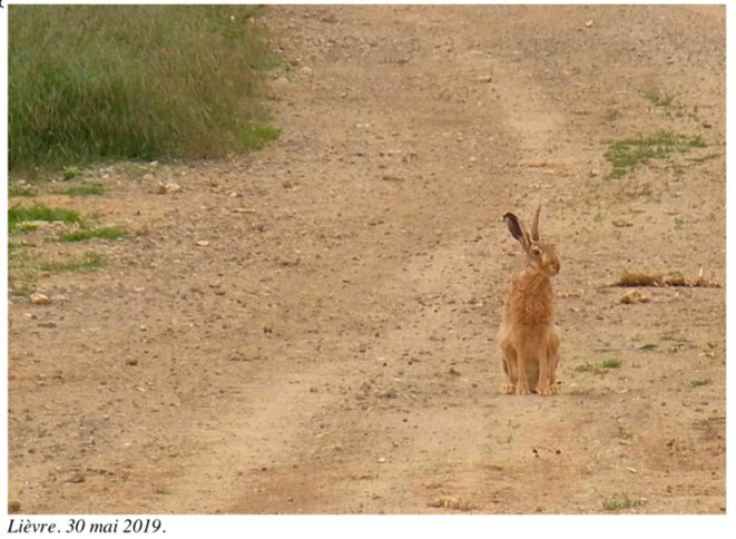 Jour J-19: Gonesse n'est pas une page blanche