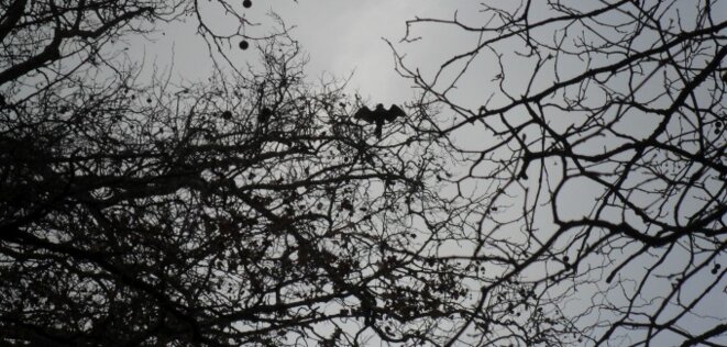 Le sentiment de l'urgence.