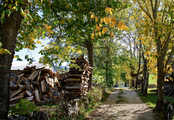 Chemin aux Guillets, commune de Villard-de-Lans © Patrice Morel (octobre 2019) Chemin aux Guillets, commune de Villard-de-Lans © Patrice Morel (octobre 2019)