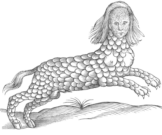 Extrait du bréviaire de Laure Belhassen : "Femmes animales - Bestiaire métaphorique". Extrait du bréviaire de Laure Belhassen : "Femmes animales - Bestiaire métaphorique".