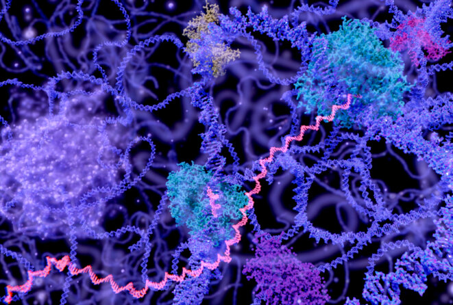 Des fléchettes empoisonnées : De petits fragments d'ADN peuvent bloquer la production de protéines cruciales. © Juan Gaertner / Photothèque scientifique / Getty Des fléchettes empoisonnées : De petits fragments d'ADN peuvent bloquer la production de protéines cruciales. © Juan Gaertner / Photothèque scientifique / Getty
