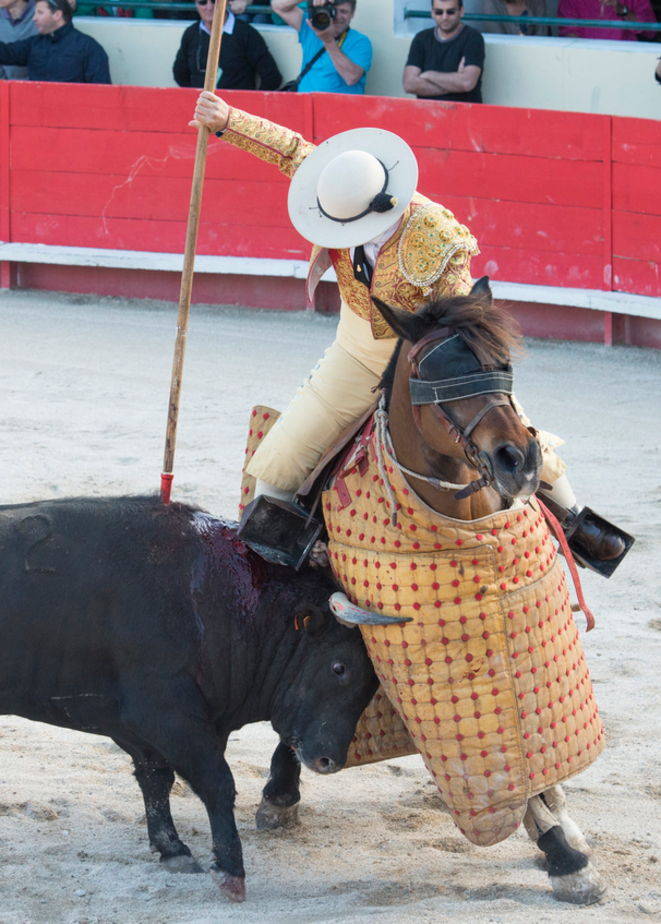 corrida-2