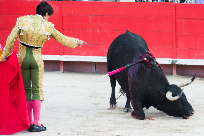corrida-3