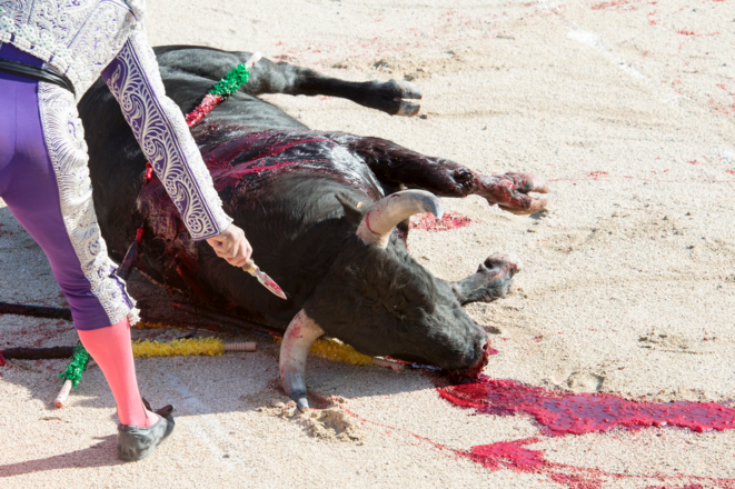corrida-4