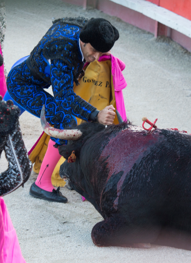 corrida-6