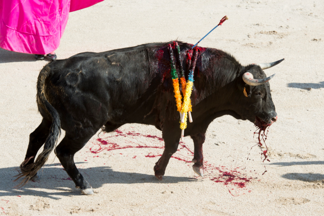 corrida