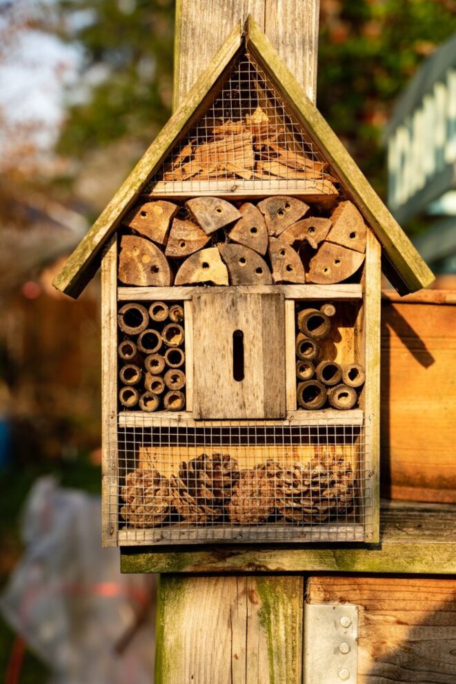 insect-hotel-4110513-1920-683x1024