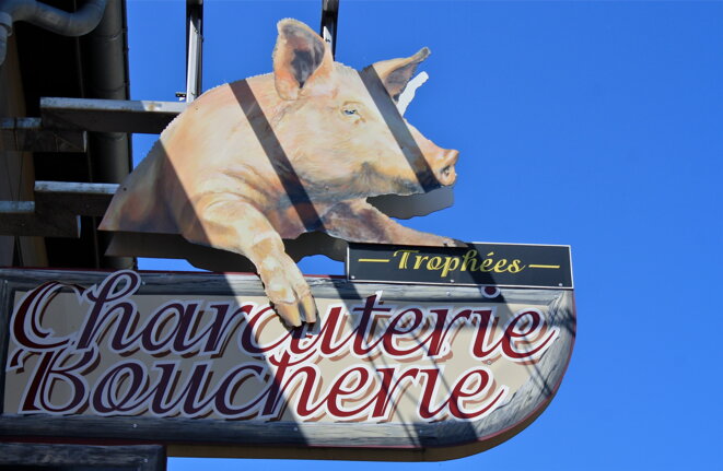 Au pays du "caillon" ! © Patrice Morel (août 2019) Au pays du "caillon" ! © Patrice Morel (août 2019)