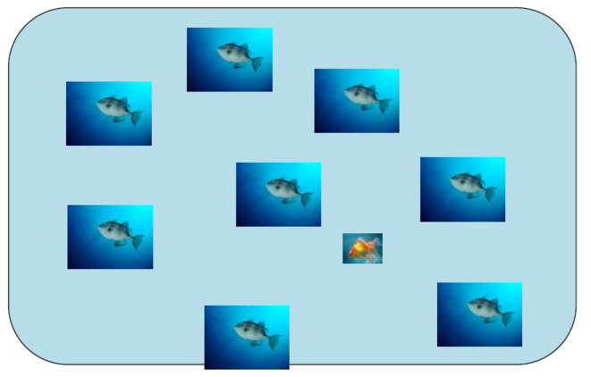 aquarium-1