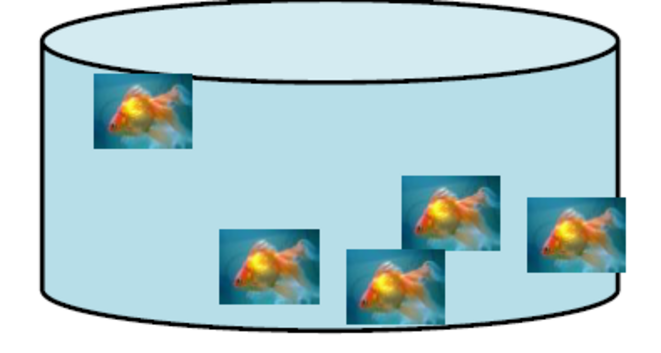 aquarium-2