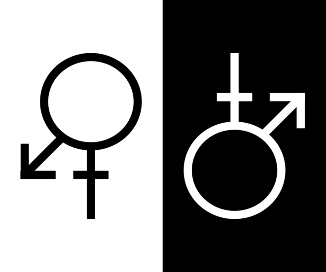 L'implication de Priscillia Ludosky et d'Etienne Chouard dans les gilets jaunes.