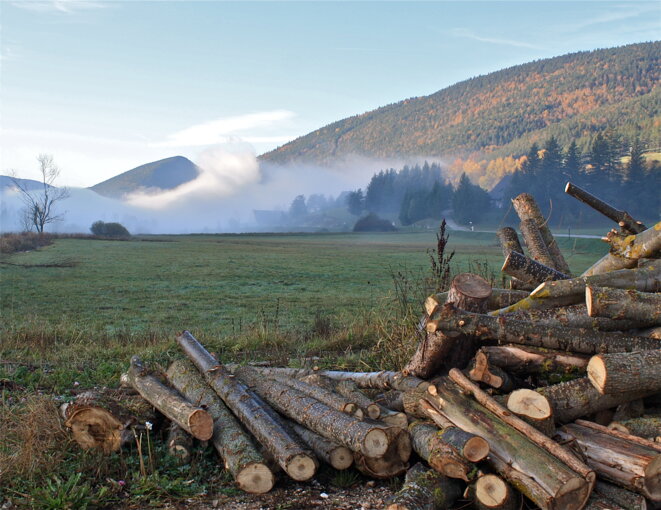 Dans le val de Lans-en-Vercors © Patrice Morel (novembre 2019) Dans le val de Lans-en-Vercors © Patrice Morel (novembre 2019)