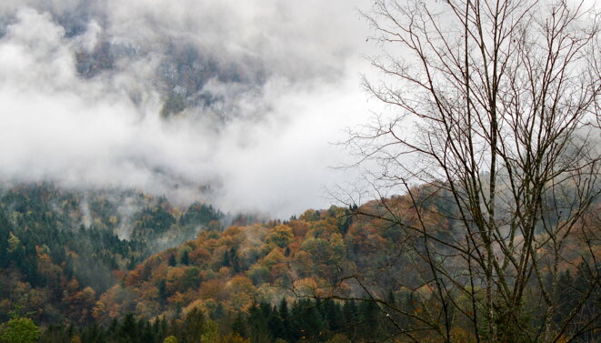 Massif de la Chartreuse en tenue d'automne © Patrice Morel (1er novembre 2019) Massif de la Chartreuse en tenue d'automne © Patrice Morel (1er novembre 2019)