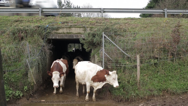 PAYSAGE ORDINAIRE // Entretien avec Damien Monnier