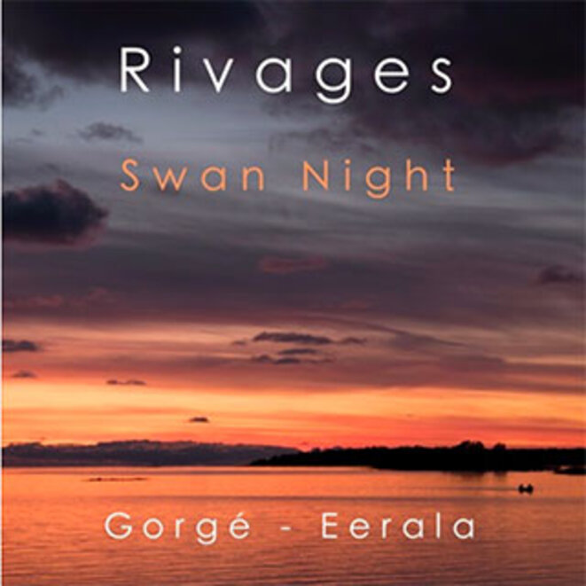 swan-night