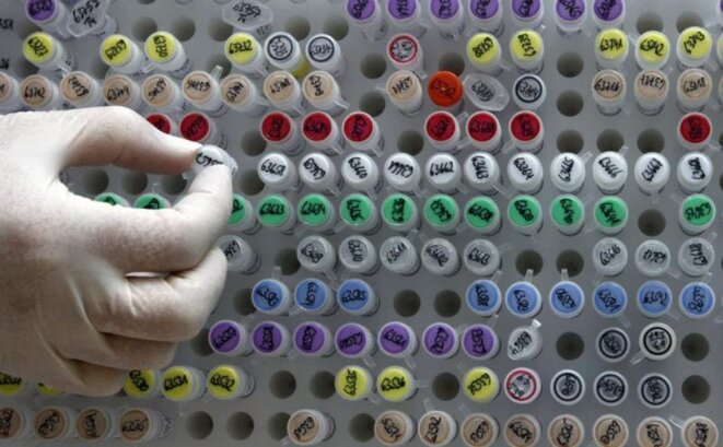 Echantillons D'Adn, Dans Un Laboratoire De Munich, En Mai 2011. © Reuters