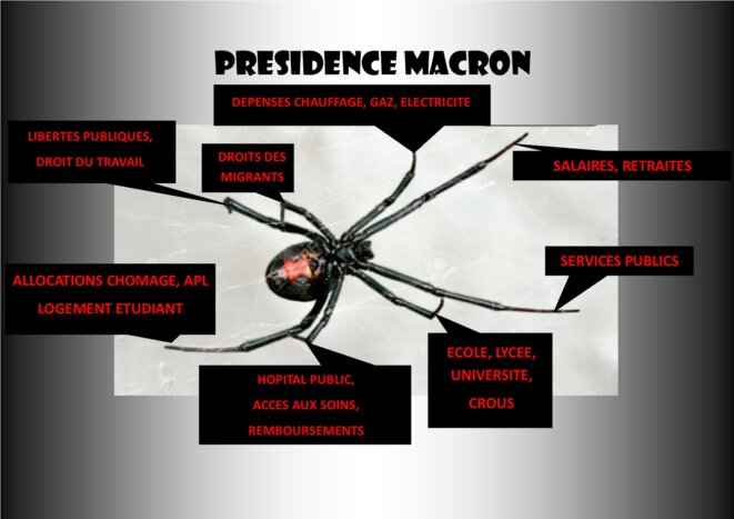 L'araignée a tissé sa toile ... © Jean Claude Petit L'araignée a tissé sa toile ... © Jean Claude Petit