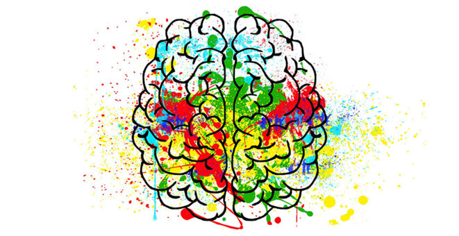 brain-2062048-1920-web