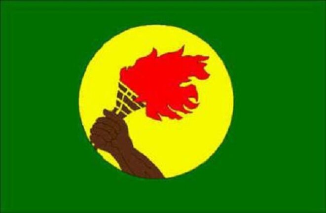 freddy-mulongo-drapeau-congo-zaire-10