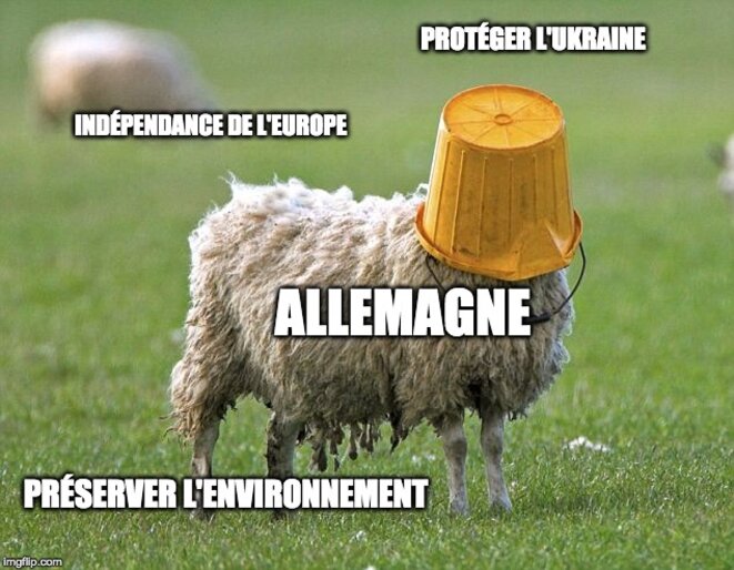 image-5-vf